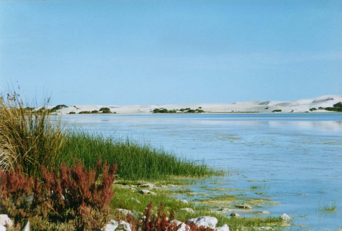 Lake Newland Conservation Park Elliston Official Tourism site